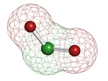 molecule cd